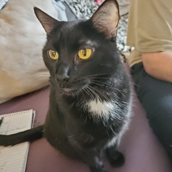 Meet your Posher, Ally♡ - Picture 8 of 8